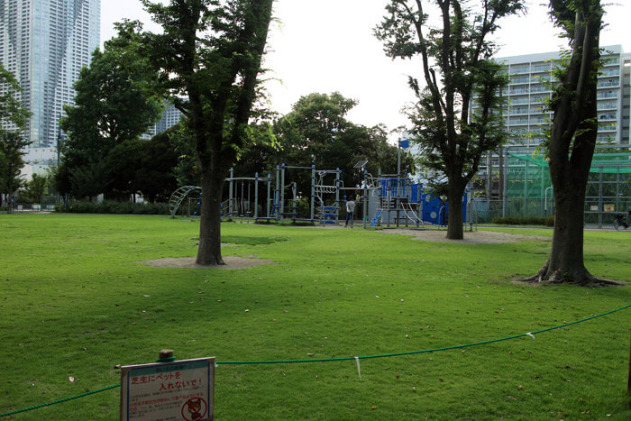 マンションの隣には小さな公園があり、子供たちが元気に遊ぶ姿も